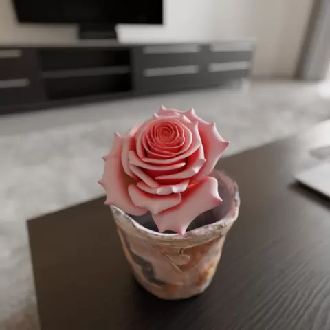 Rose flower