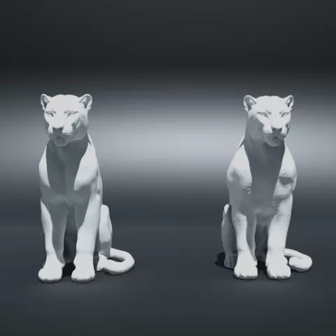 Sitting Panther