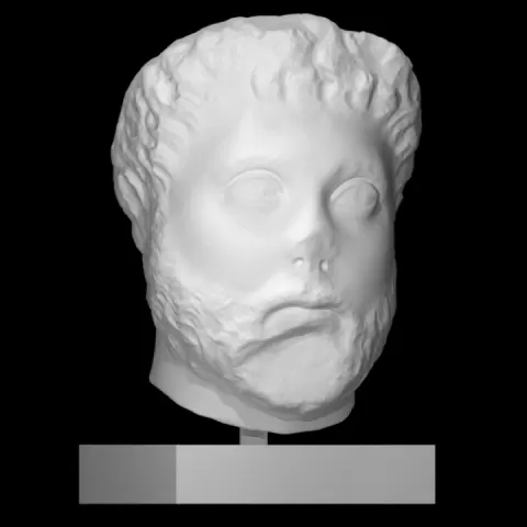 Unknown man's head by Scan The World