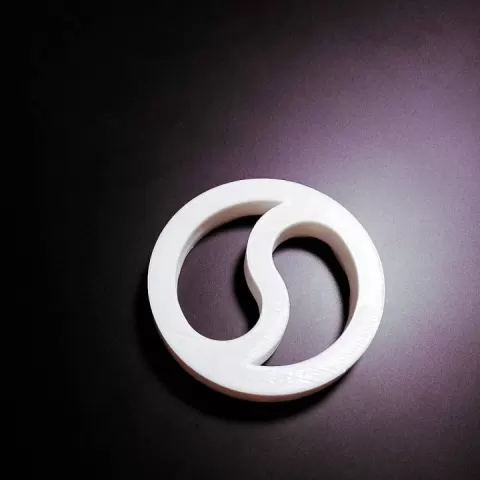 Tai Chi Disc by David Ryman