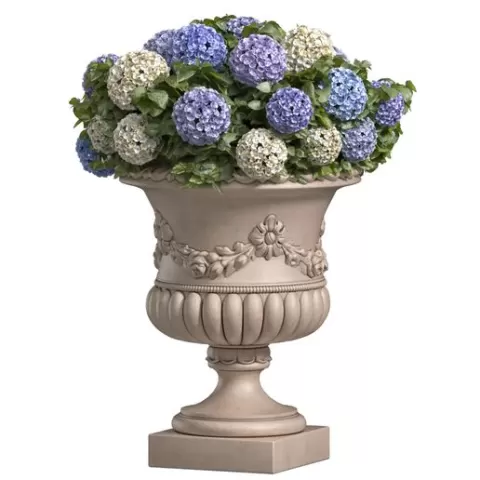 Hydrangea in a classic vase for decoration facade.Flowers Garden Plant Flowerpot Patio