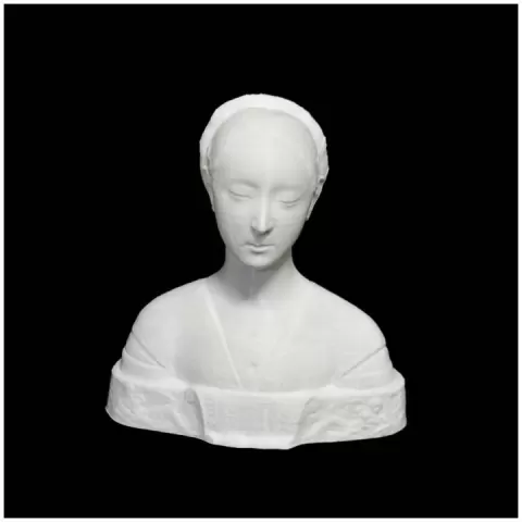 Portrait of the Princess of Naples by Scan The World