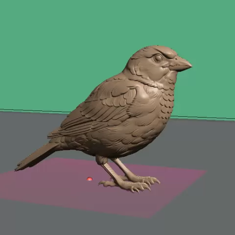 Sparrow - Gorrion
