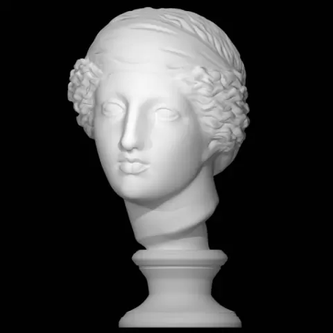 Head of Venus at The Réunion des Musées Nationaux, Paris by RMN