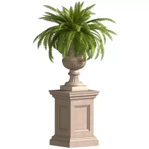 Boston Fern in a classic flowerpot.Flowers Garden Plant Palm Entrance Doors Flowerpot Patio Balcony