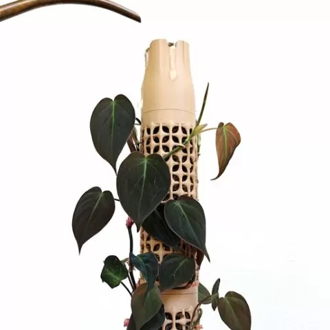Moss Pole - Woven Star Pattern