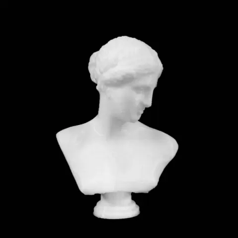 Bust of Venus of Arles at The Louvre, Paris by Scan The World