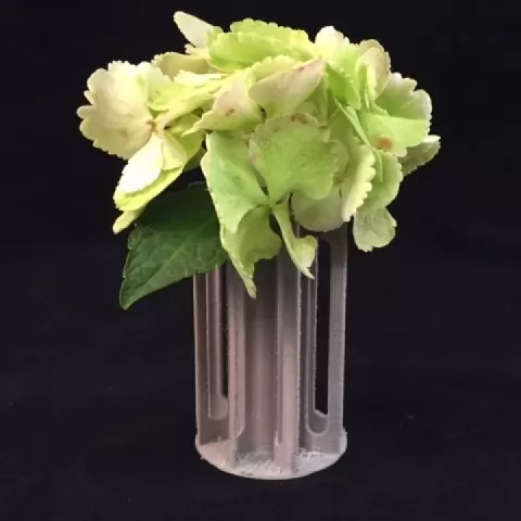 Flower Vase by Michael Thiem
