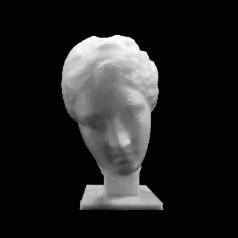 Head of Venus at The Réunion des Musées Nationaux, Paris by RMN