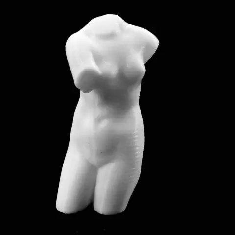 Torso of Venus de MIlo at The Réunion des Musées Nationaux, Paris by RMN