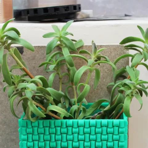 Weaved flower pot by Didier Klein