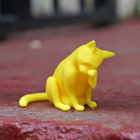 Cat by Carlos Seleghim