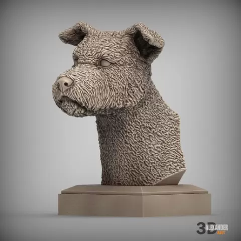 Pumi bust