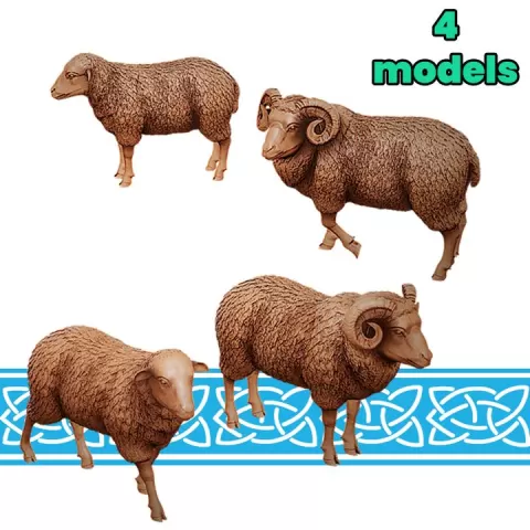 Sheep and Ram by Key Capas