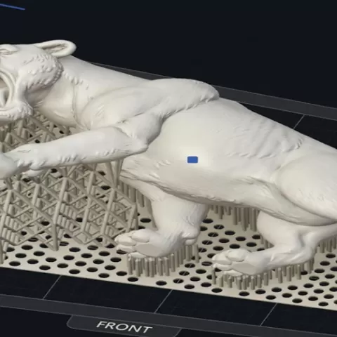 SMILODON POPULAITOR