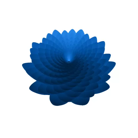 lotus - kot vsapogah