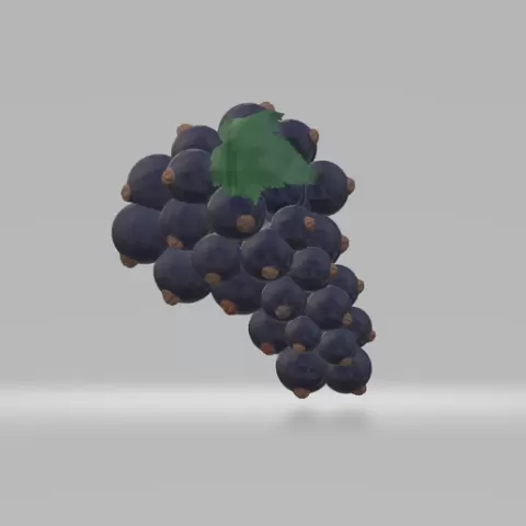 Blackcurrant branch