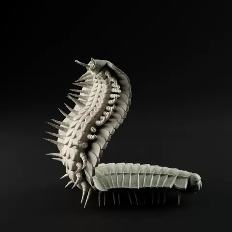 Arthropleura rear up 1-20 scale pre-supported prehistoric animal by Dino and Dog