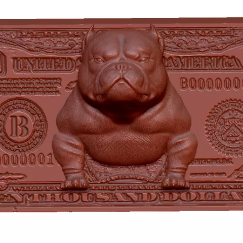 Exotic bully Dolar