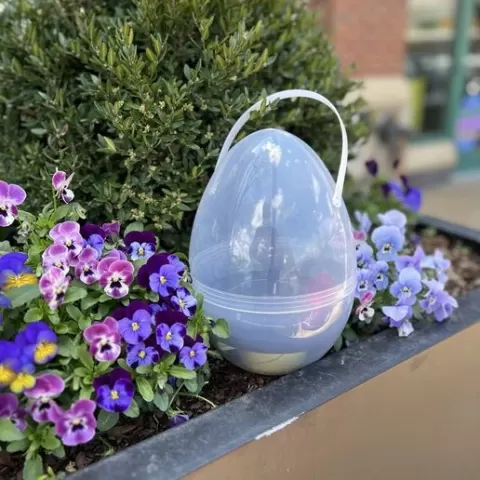 Meshtastic Solar Egg (RAK19003)