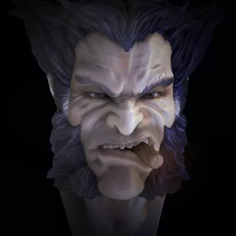 Logan Wolverine Bust - Danangset