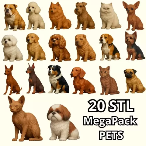 Mega Pack Pet - NicoToons