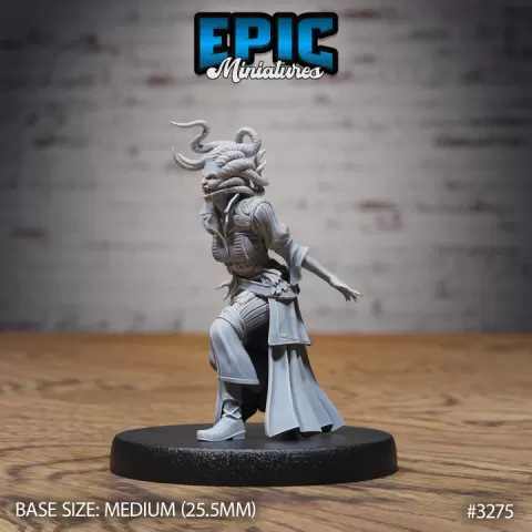 Gorgon Pirate Yelling / Female Human Corsair / Medusa Quartermaster / Sea Warrior / Water Bandit / Ship Master by Epic-Miniatures