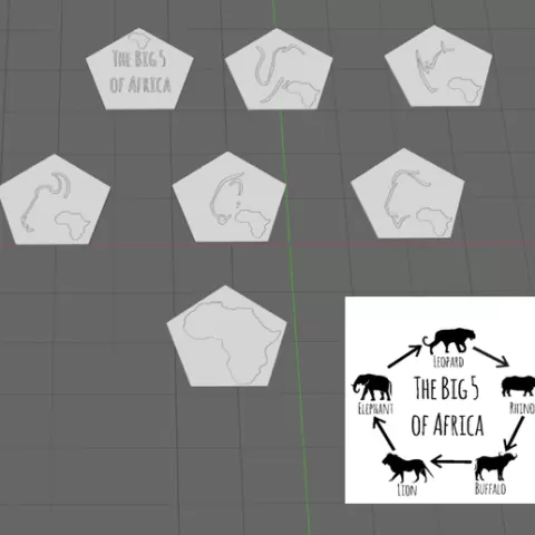 Africa Big 5 Coasters