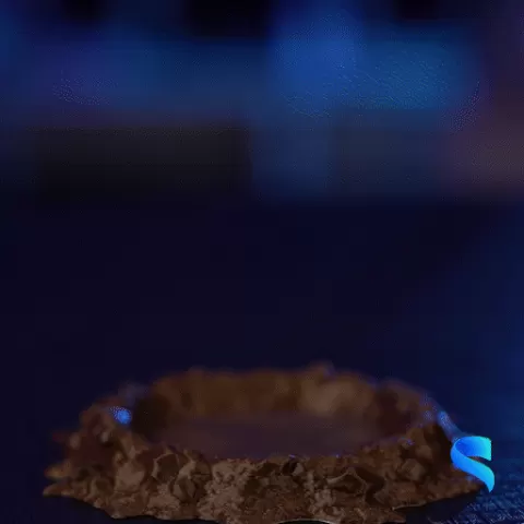 Tiny Dilopho