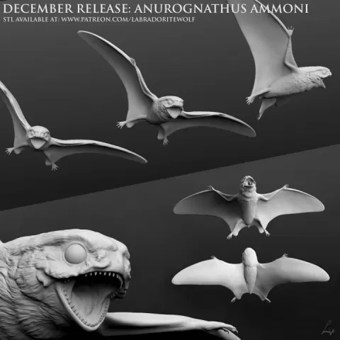 Anurognathus ammoni, tiny pterosaur by LabradoriteWolf