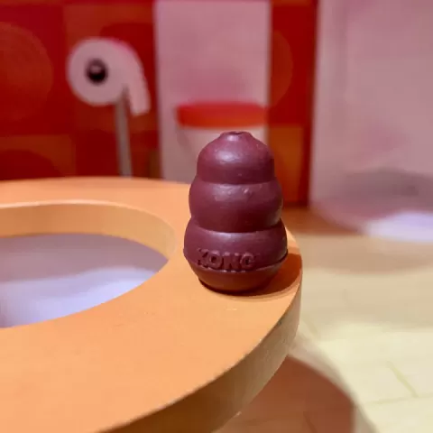 Mini Dog Kong by D P