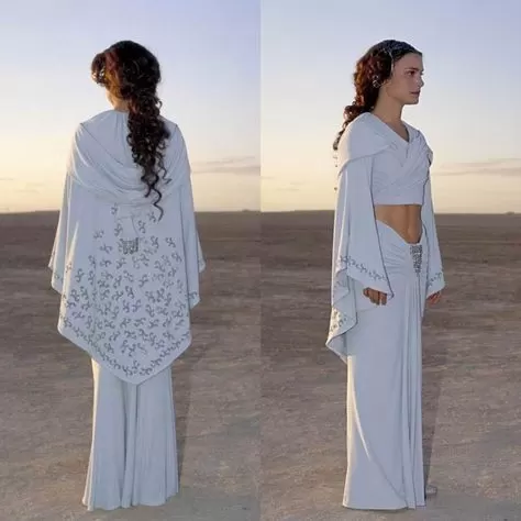 Padme amidala tatooine homestead gown hair piece