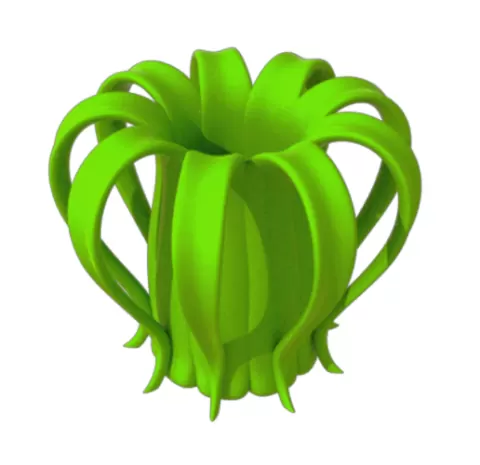Bloom Planter