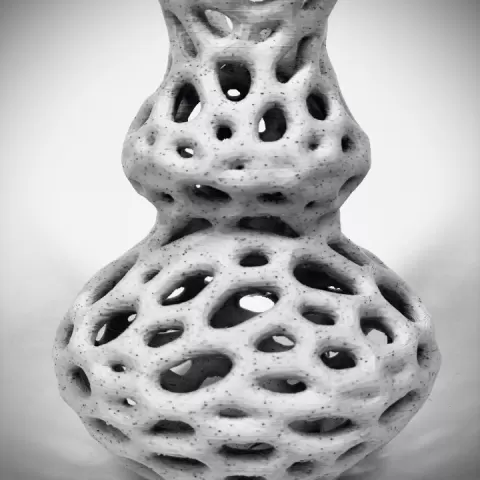 The Hole Vase by sean