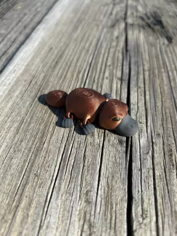 Platypus Multiple Joint Fidget