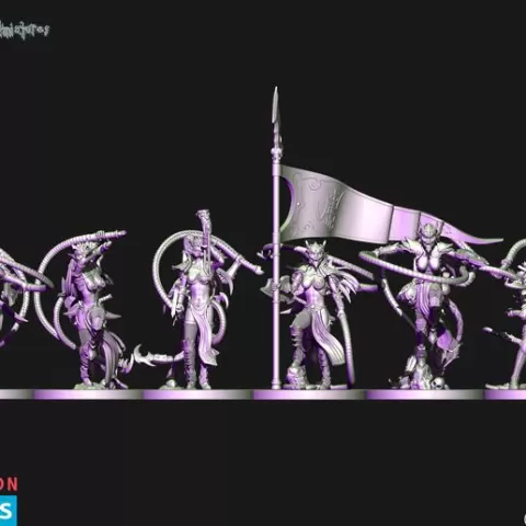 Dark elves Temple Militants