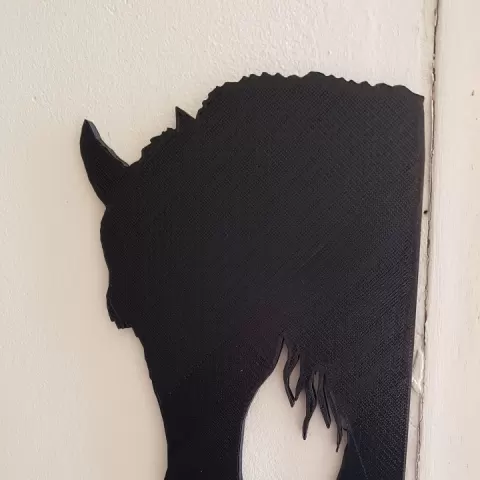 shadow of a horse and a dog by fournier catherine