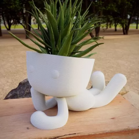 Milo Planter in Love 3D Print Stl File | Stl File For 3D Printers |Home Decor - Digital Download People , Succulent Robert Plant Zen Planter