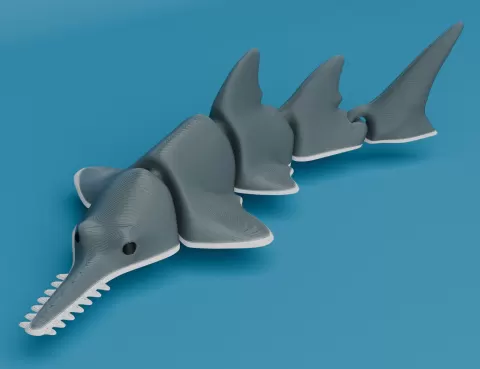 Articulated Sawfish (Carpenter shark)