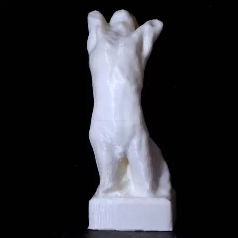 Narcisse 8 inch Rodin 3D scan From Portland Art Museum by Portland 3D