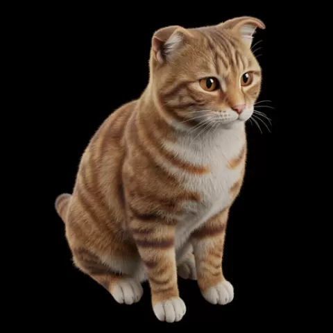 Cat sitting ears slightly back, cat, kitten, pet, animal, feline, cute, adorable, playful, lazy, curious, whiskers, tail, fur, paws
