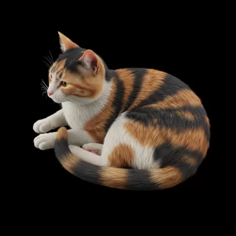 Cat lying side profile, cat, kitten, pet, animal, feline, cute, adorable, playful, lazy, curious, whiskers, tail, fur, paws