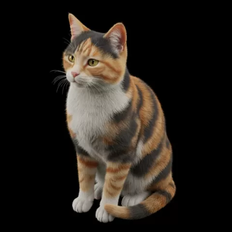 Cat sitting quiet alert, cat, kitten, pet, animal, feline, cute, adorable, playful, lazy, curious, whiskers, tail, fur, paws
