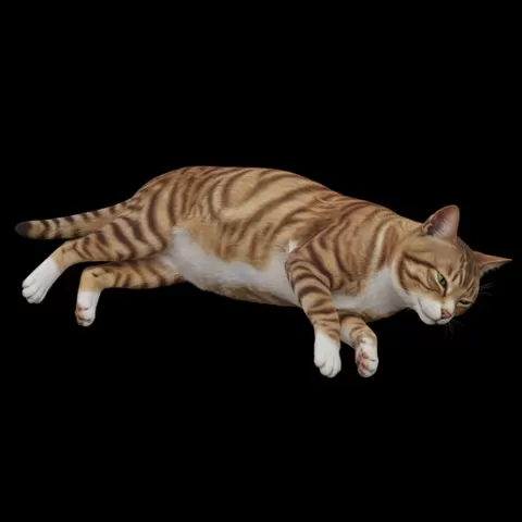 Striped cat lying relaxed, cat, kitten, pet, animal, feline, cute, adorable, playful, lazy, curious, whiskers, tail, fur, paws