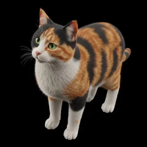 Cat slight head tilt soft curiosity, cat, kitten, pet, animal, feline, cute, adorable, playful, lazy, curious, whiskers, tail, fur, paws