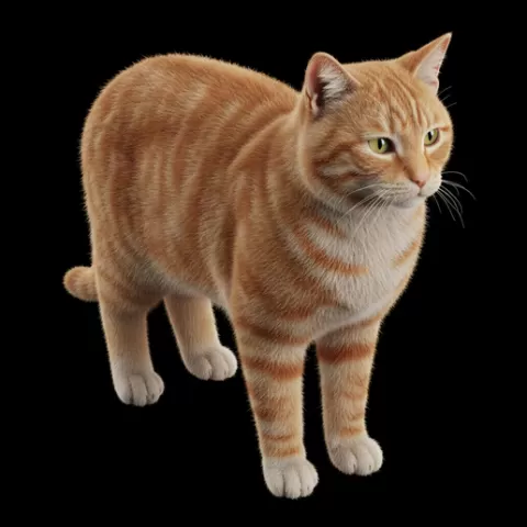 Cat centered symmetrical pose, cat, kitten, pet, animal, feline, cute, adorable, playful, lazy, curious, whiskers, tail, fur, paws