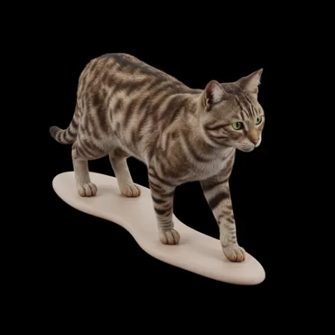 Cat walking slight curve path, cat, kitten, pet, animal, feline, cute, adorable, playful, lazy, curious, whiskers, tail, fur, paws