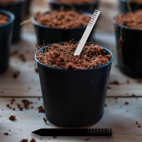 Broccoli Plant Stakes Design