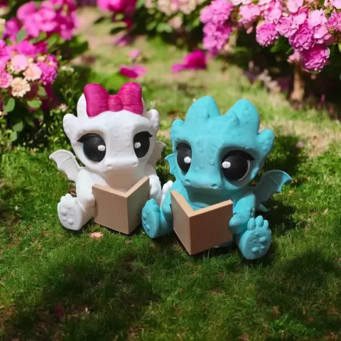 Dragon V2 reading book - 3DJPDESIGNS