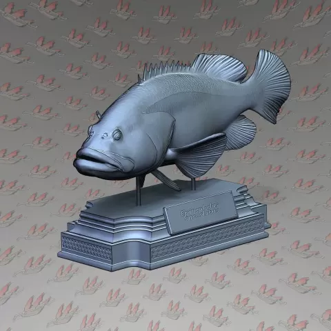 GROUPER - PREYstudio